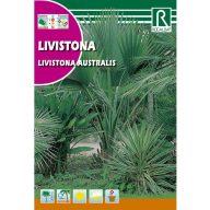 Avstralska palma (Livistona Australis) 3g Rocalba