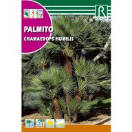 Konjska palma (Chamaerops humilis) Rocalba