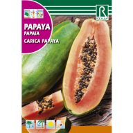 Papaja dinnyefa (Carica papaya) Rocalba