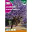 Jakaranda mimozolistna (Jacaranda mimiosifolia) 0,5g Rocalba