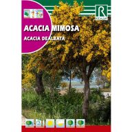 Pepel Akacija (Acacia dealbata) Rocalba