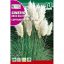 Pampaška trava (Cortaderia selloana) Rocalba 0,1 g