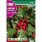 Vodni svetlin (Ilex aquifolium) Rocalba 1 g