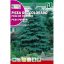 Srebrna jelka (Picea Pungens) Rocalba 0,5 g