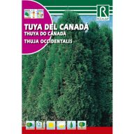 Zahodna tuja (Thuja Occidentalis) 0,5g Rocalba