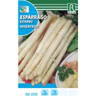Beli šparglji Rocalba