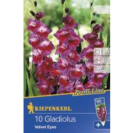 Žarnica Meč Cvet Žametne oči 10 kosov