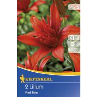 Cvetlična čebulica Lily Red Twin 2 kosa