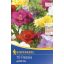 Cvetlične čebulice Fresia Mix 10 kosov
