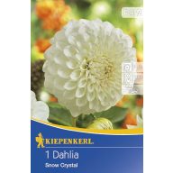 Žarnica Dahlia Snow Crystal 1 kos