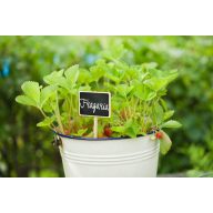 Izpisna tabla, lesena 20,5x8,6x6cm, 4 kosi