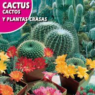 Mešanica kaktusov (Cactos y Plantas crasas) Rocalba 0,5g