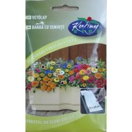 Naslovnica Letna mešanica cvetja 10x80 cm