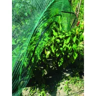 Zelena mreža za senčenje Sun-Net 1,2x10m