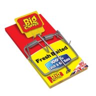 Lesena past za podgane z vabo The Big Cheese