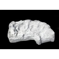 Slap Baterija Colorado levo