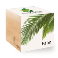 ecocube - Palm