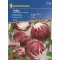 Solata Radicchio Indigo 40 zrn Kiepenkerl