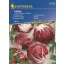 Solata Radicchio Indigo 40 zrn Kiepenkerl
