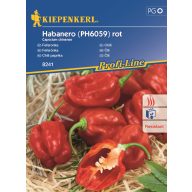 Čili poper Habanero rdeči min. 7 semen Kiepenkerl