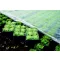 Folija iz gaze 8,45x100m 19 gr/m2
