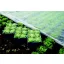 Folija iz gaze 8,45x100m 19 gr/m2