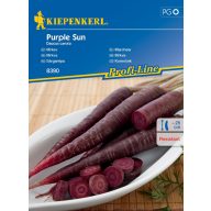 Korenje vijolično-črno Purple Sun Kiepenkerl