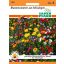 Mössingen cvetlična mešanica 2 m2 Seme Pfann