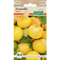 Tomatillo Aurora 10 semen semena Pfann