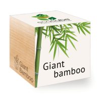 Ecocube-Oriatic bambus
