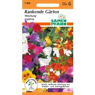 Mešanica semen plezalk enoletnic 5m2, ki jih Samen Pfann