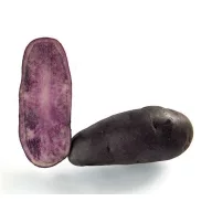   Krompirjev semenski gomolj Lila "Fleur Bleue" 0,5 kg