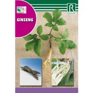 Ginseng Rocalba 4 zrna