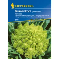 Pagoda (Romanesco) cvetača Veronica F1 Kiepenkerl 30 kosov