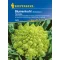 Pagoda (Romanesco) cvetača Veronica F1 Kiepenkerl 30 kosov