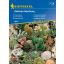 Kaktusi - mešanica priljubljenih sort Kiepenkerl 20 kosov