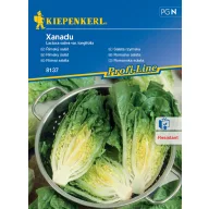 Rimska solata Xanadu 80 kosov Kiepenkerl