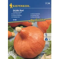 Hokaido buče Uchiki kuri Kiepenkerl 5 kosov