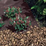 Talni pokrov Antiherbas Geotex 80 g/m2 rjava 1,6x50m