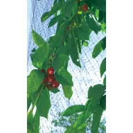 Mreža za ptice Easynet PP črna 2x10m (17X17 mm)