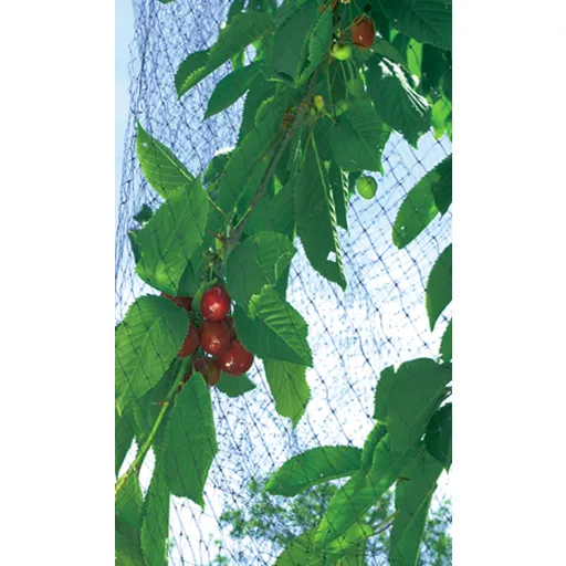 Mreža za ptice Easynet PP črna 2x10m (17X17 mm)