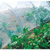   Mreža proti žuželkam Biocontrol (Climabio) 2x100 m (1x1 mm)