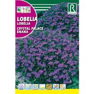 Lobelia Crystal Palace Rocalba 0,5 g