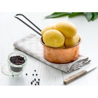   Krompirjev gomolj z manj ogljikovimi hidrati "Coronada" 50 kosov