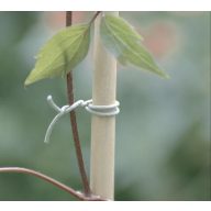 R-FIX kravata za pritrjevanje rastlin na tekače 50 m