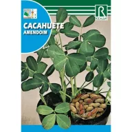 Arašidi (Cacahuete amendoim) 10g Rocalba