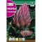 Sladkorni trs Cynaroides (Protea Cynaroides) 6g Rocalba