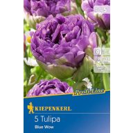Žarnica Tulipan Blue Wow 5 kosov