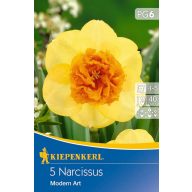 Čebulice Narcissus Modern Art 5 kosov Kiepenkerl
