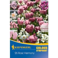 Colour Symphony Mega Pack Rose Harmony 26 žarnic Kiepenkerl